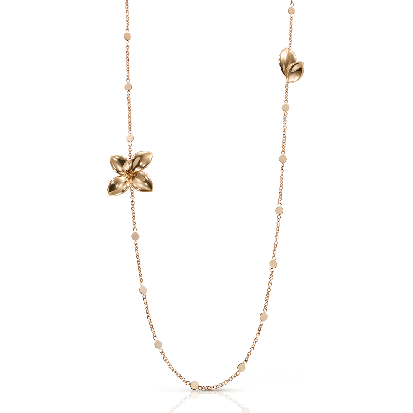 Collana Giardini Segreti